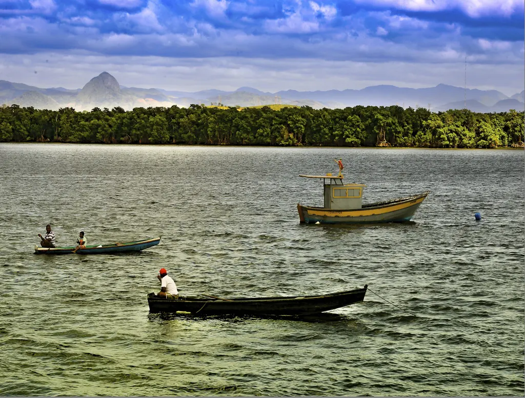 Barcos de pescadores no Rio Santa Maria, na Ilha das Caieiras