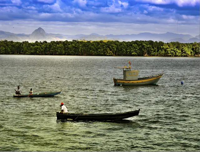 Barcos de pescadores no Rio Santa Maria, na Ilha das Caieiras