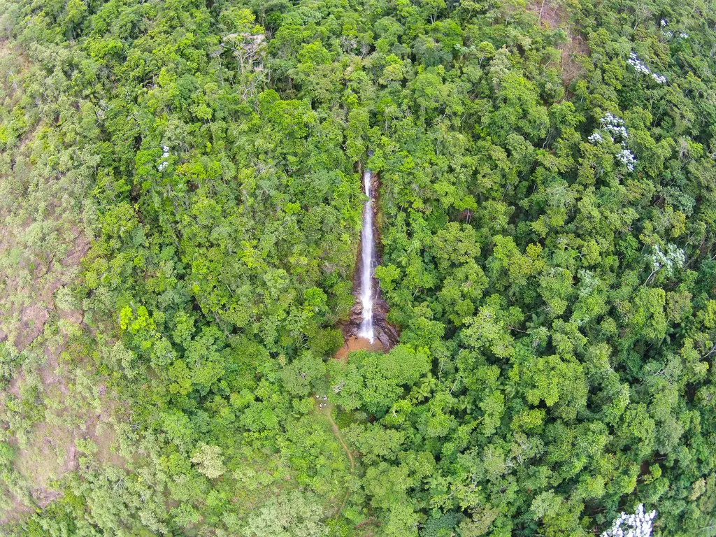 Cachoeira em meio à Mata Atlântica em Matilde, vista de drone