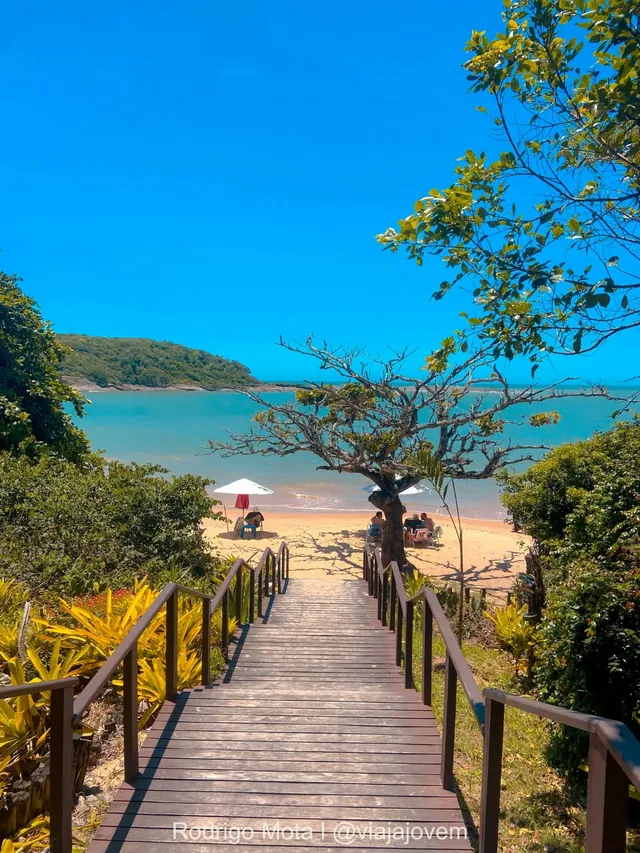 Escada de madeira entre a vegetação que desce até uma praia de águas calmas no litoral capixaba
