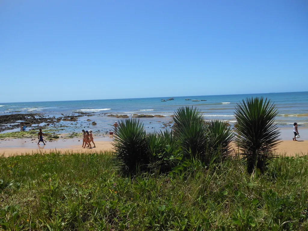 A Praia de Manguinhos Praia de Manguinhos, na Serra (ES), com vegetação de restinga