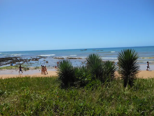 Praia de Manguinhos, na Serra (ES), com vegetação de restinga