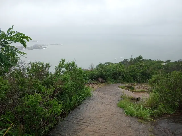 Trilha no Morro do Moreno com vista para o mar